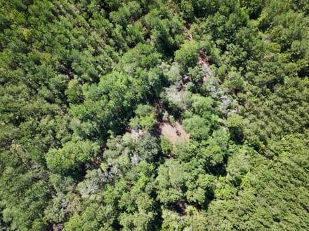 47.56± acres of Recreational and Timberland For Sale in Lenoir County, NC!