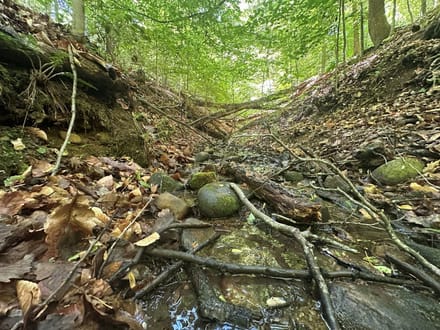 8.158 acres of Residential and Recreational Land for Sale in Nelson County VA!