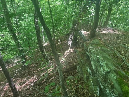 8.158 acres of Residential and Recreational Land for Sale in Nelson County VA!