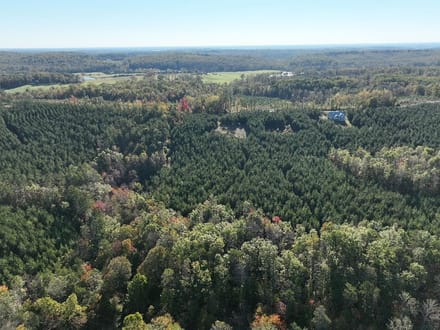 6.9± Acres of Residential & Recreational Land for Sale in Albemarle County, VA!
