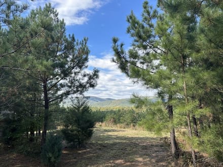 6.9± Acres of Residential & Recreational Land for Sale in Albemarle County, VA!