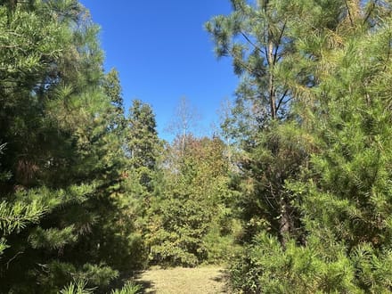 6.9± Acres of Residential & Recreational Land for Sale in Albemarle County, VA!