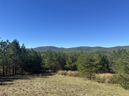 6.9± Acres of Residential & Recreational Land for Sale in Albemarle County, VA!