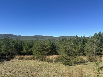 6.9± Acres of Residential & Recreational Land for Sale in Albemarle County, VA!
