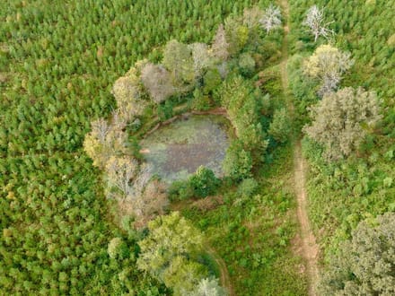 82 Acres of Recreation and Timber Land for Sale in Stanly County NC!