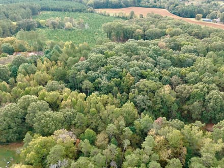 82 Acres of Recreation and Timber Land for Sale in Stanly County NC!