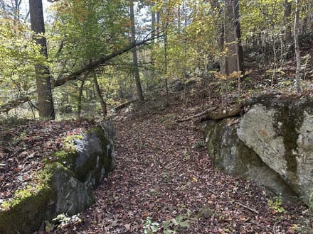 140+/- Acres of Recreational, Residential, Timber and Hunting Land For Sale in Buckingham County VA!