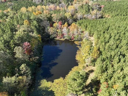 140+/- Acres of Recreational, Residential, Timber and Hunting Land For Sale in Buckingham County VA!