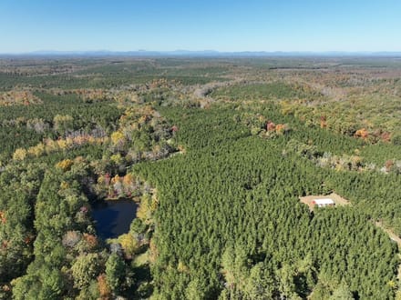 140+/- Acres of Recreational, Residential, Timber and Hunting Land For Sale in Buckingham County VA!