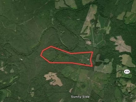 140+/- Acres of Recreational, Residential, Timber and Hunting Land For Sale in Buckingham County VA!