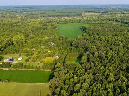 107.1125 Acres of Hunting, Recreational, and Residential Land For Sale in Greensville County, VA! 