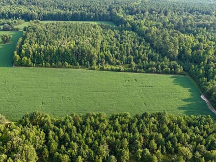 107.1125 Acres of Hunting, Recreational, and Residential Land For Sale in Greensville County, VA! 