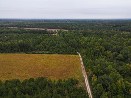 107.1125 Acres of Hunting, Recreational, and Residential Land For Sale in Greensville County, VA! 