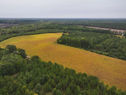 107.1125 Acres of Hunting, Recreational, and Residential Land For Sale in Greensville County, VA! 