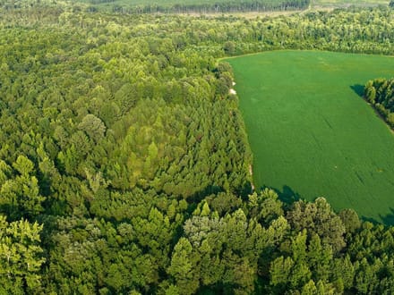 107.1125 Acres of Hunting, Recreational, and Residential Land For Sale in Greensville County, VA! 