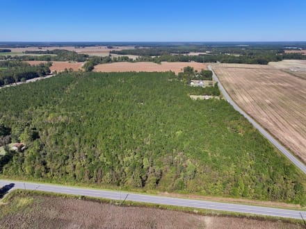 60.75 Acres of Recreational Timberland with Extensive Road Frontage For Sale in Duplin County, NC!