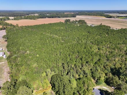 60.75 Acres of Recreational Timberland with Extensive Road Frontage For Sale in Duplin County, NC!
