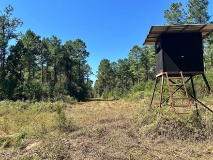 Highway 15 - Bogue Homa Tract