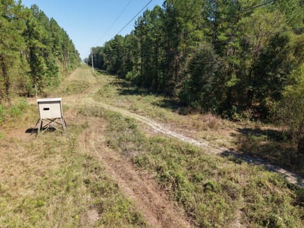 Highway 15 - Bogue Homa Tract