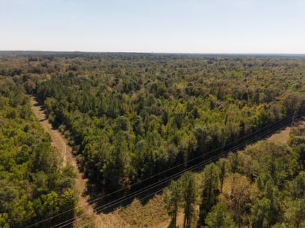 Highway 15 - Bogue Homa Tract