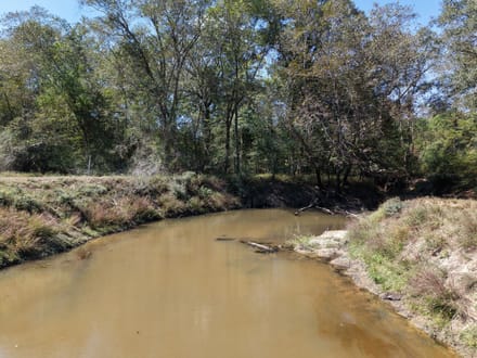 Highway 15 - Bogue Homa Tract