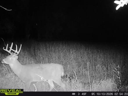 Franklin County, Iowa 245.10± Acres | Hunting & Tillable Farmland for Sale