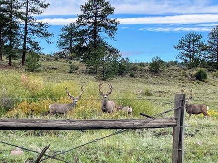 Larry Mahan Ranch