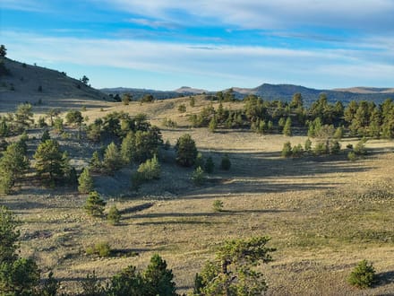 Larry Mahan Ranch
