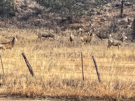 Larry Mahan Ranch
