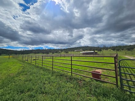 Weed Mountain Ranch