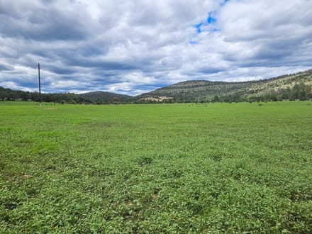 Weed Mountain Ranch