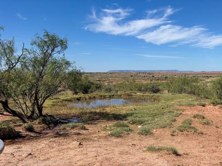 Revuelto Creek Ranch