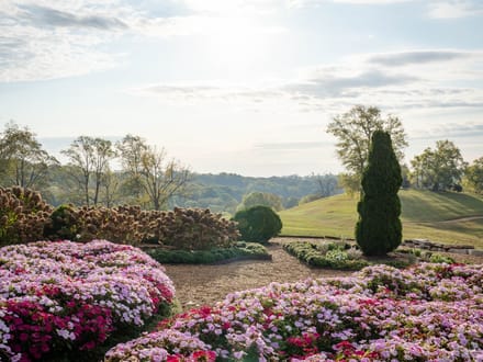 397 Acre Equestrian Farm in Spring Hill