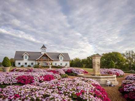 397 Acre Equestrian Farm in Spring Hill