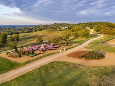 397 Acre Equestrian Farm in Spring Hill