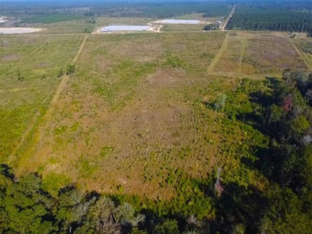 58 Acres Rogers Road Marion County