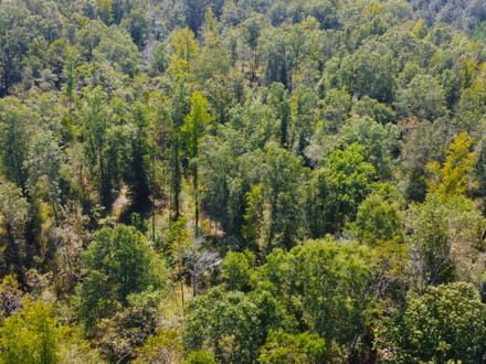 42 Acres Rogers Road Marion County