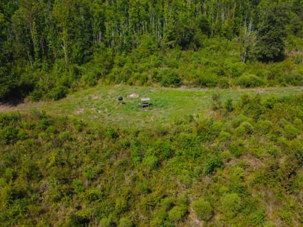 42 Acres Rogers Road Marion County