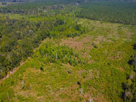 42 Acres Rogers Road Marion County