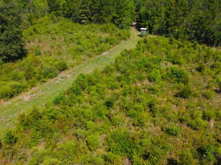 42 Acres Rogers Road Marion County