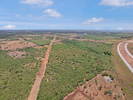 6484 St Park Rd. Lockhart, TX 78644