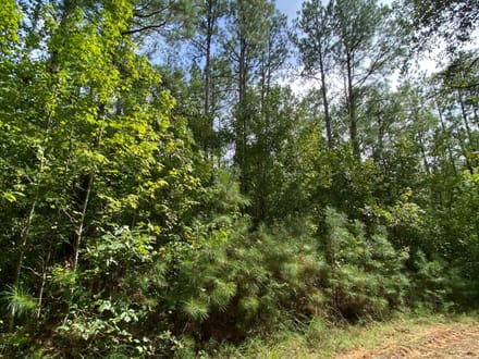 Whirl Creek Tract