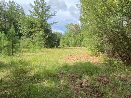 Whirl Creek Tract