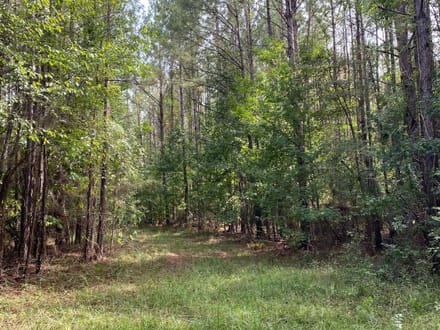Whirl Creek Tract