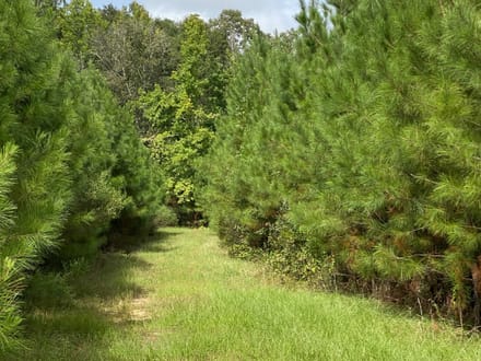 Whirl Creek Tract