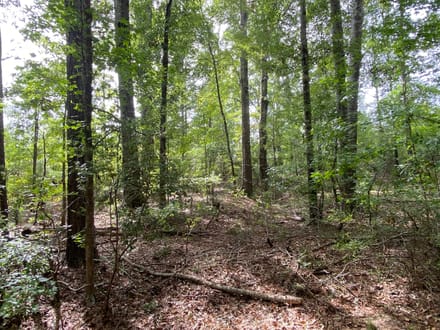Whirl Creek Tract