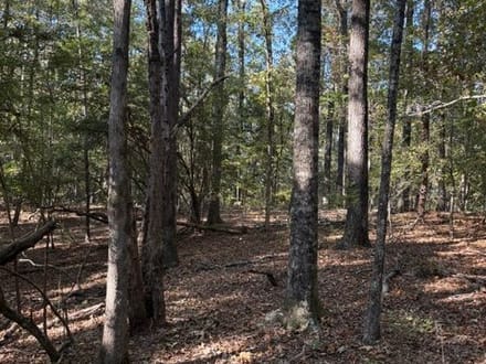 Oak Grove Road Tract