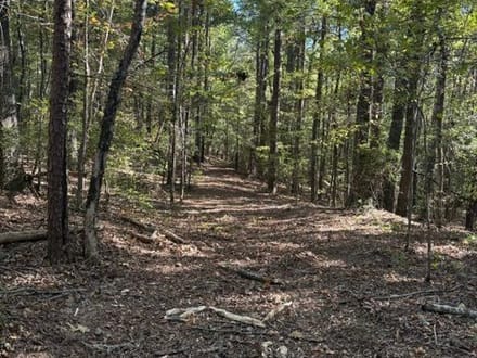 Oak Grove Road Tract