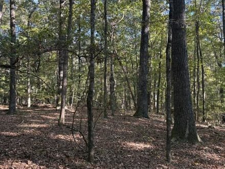 Oak Grove Road Tract