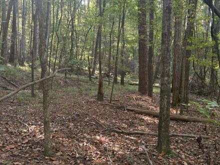 Oak Grove Road Tract